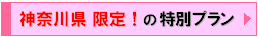 _ސ쌧v